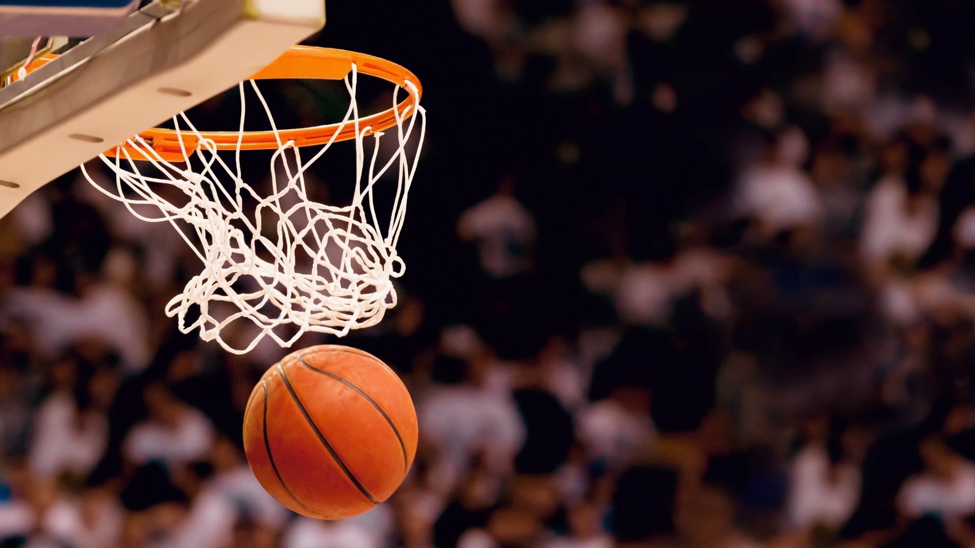 开云下载-郁金香未绽，马特乌斯神锋绝杀！斯洛伐克掀翻荷兰，哈兰德独木难支成永恒悲歌